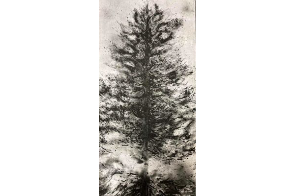 CCF powerd by 青森共立寝具（株）